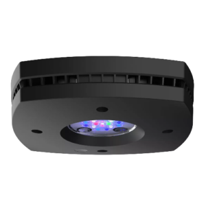 Aquaillumination Prime™ Series