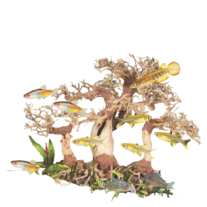 ZooMed Dragon Bonsai Tree