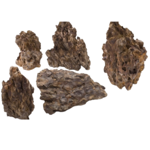Freshwater Rock