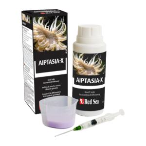 Red Sea Aiptasia-X Aiptasia Eliminator