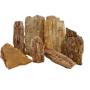 Lifegard Burma Petrified Surmese Stone - Medium