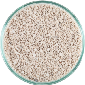CaribSea Seafloor Substrate