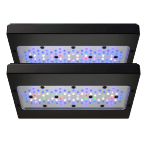 EcoTech Marine Radion Lights