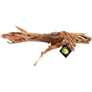 Galápagos Driftwood