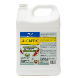 Api Pond Algaefix