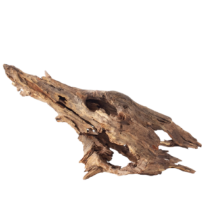 Galapagos Natural Driftwood Hollow Tree Root