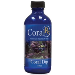 Coral Rx Coral Dip