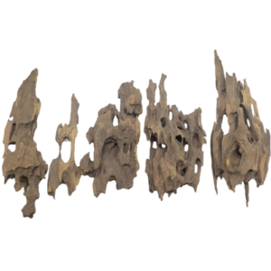 Lifegard Dragon Wood