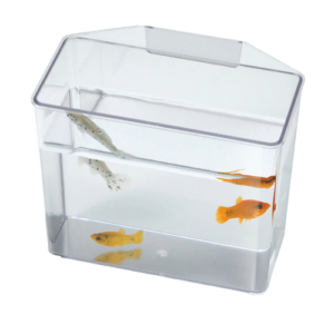 Lees Specimen Container